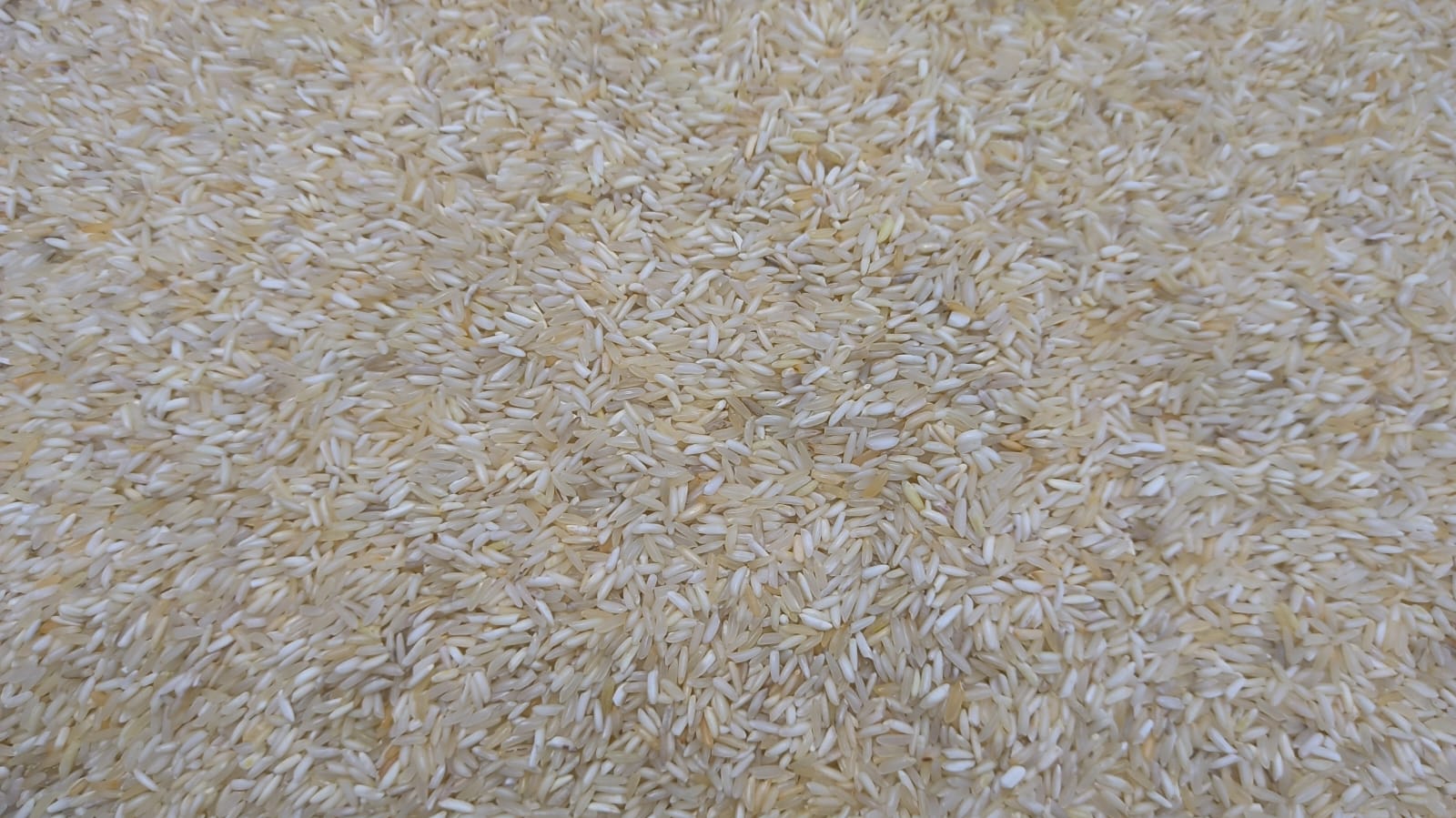 Kolam lachkari 1 kg