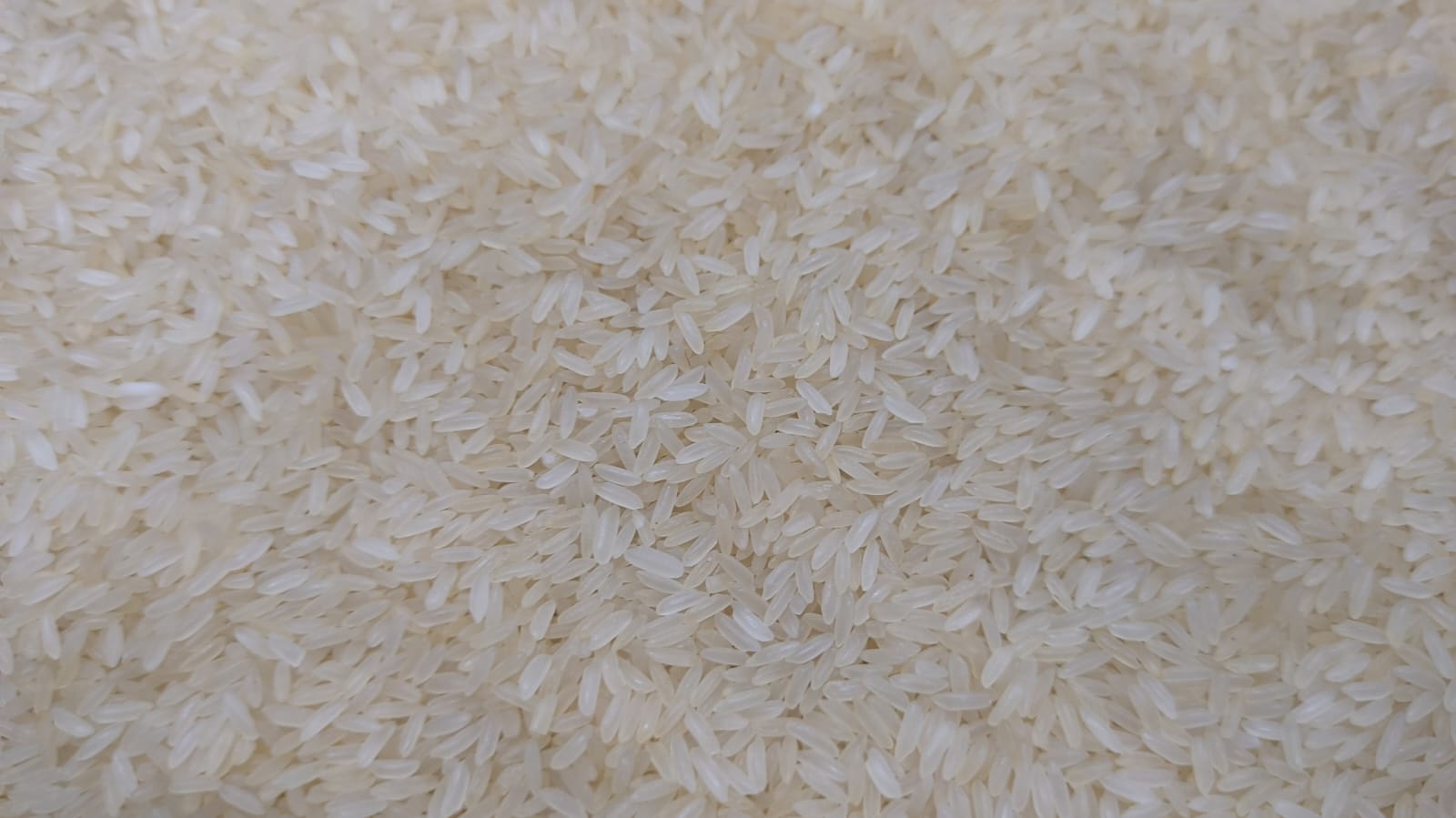 Kolam Ukhda lachkari 1 kg