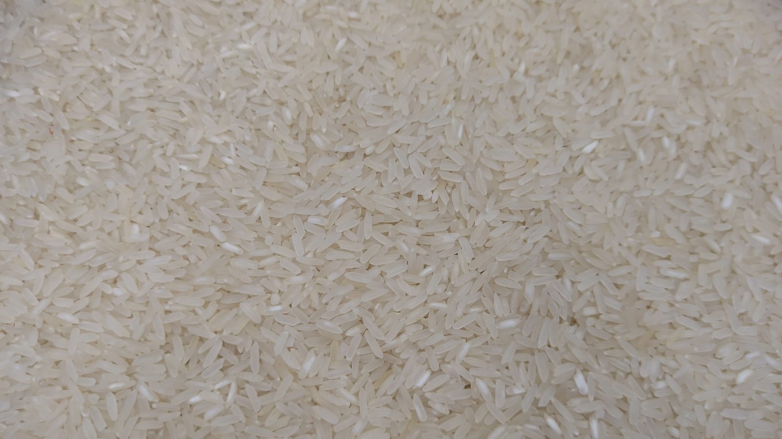 Indrayani rice (pune) 1 kg