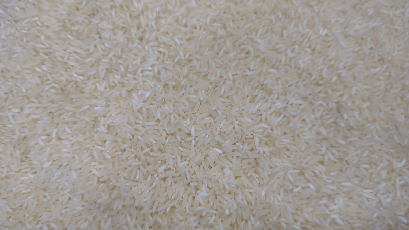 Kolam jira 1 kg
