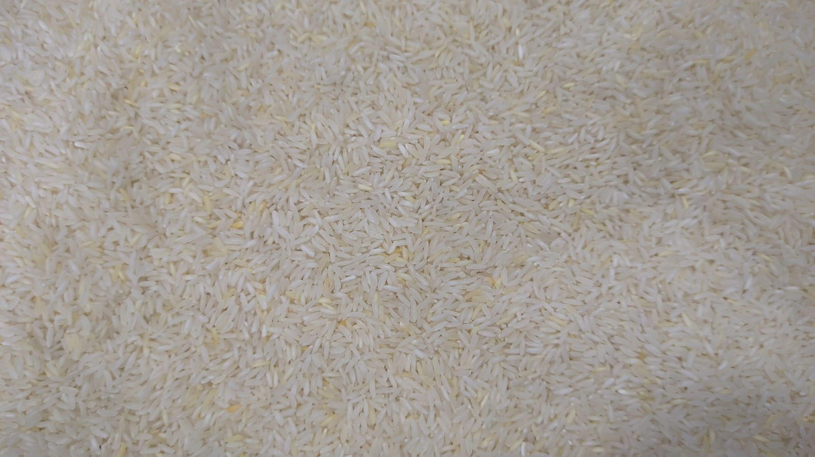 Kolam lachkari white 1 kg