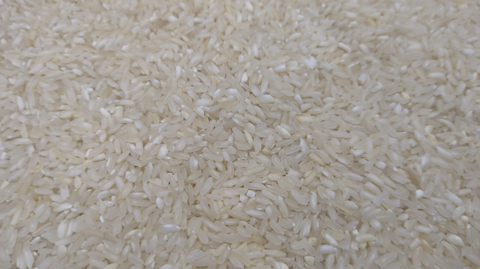 Parimal rice 1 kg