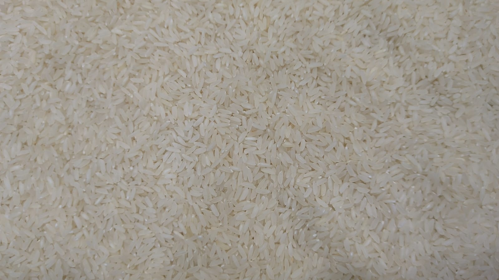 Kolam HMT 1 kg