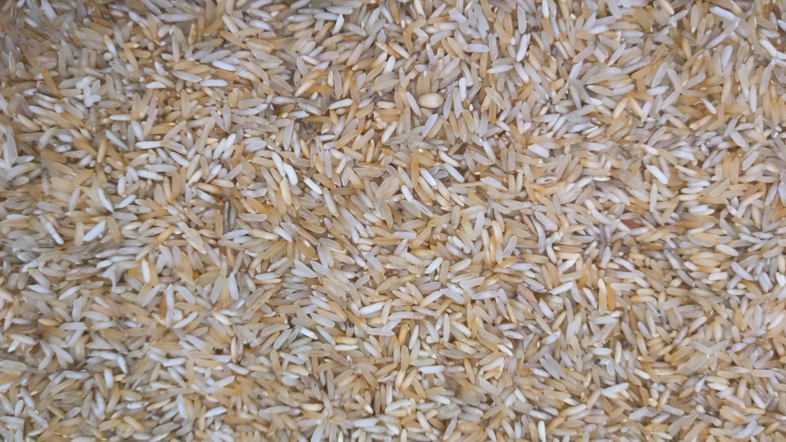 Basmati organic 1kg