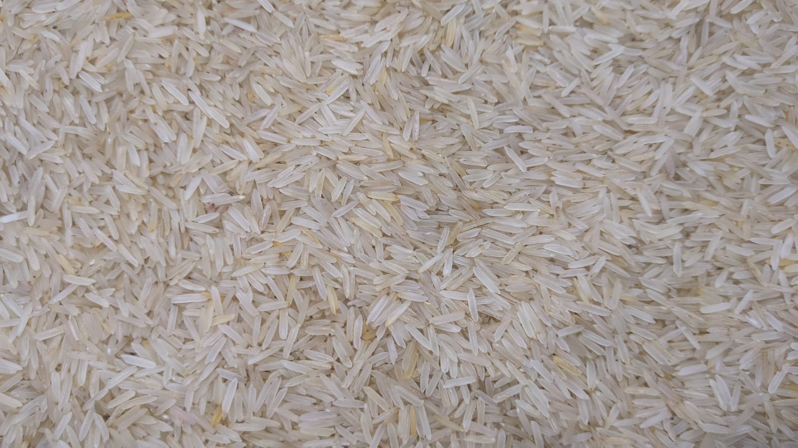Basmati shella 1kg